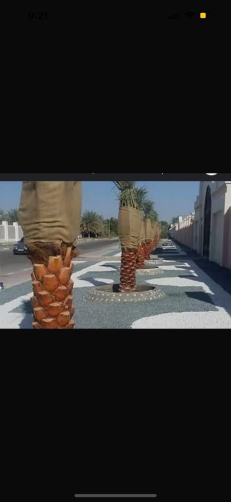 احواض الزرع بالرياض-احواض زرع الرياض055164162 whatsapp image 2025 10 25 at 10.31.14 pm